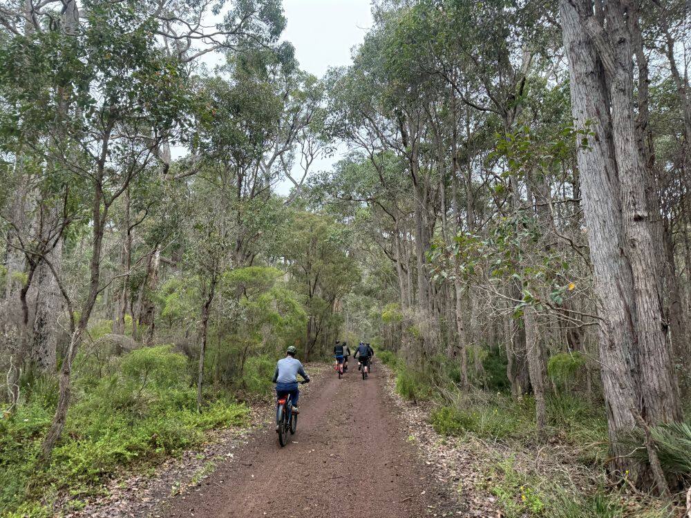 Construction Tender Awarded for WA’s Wadandi Track Expansion
