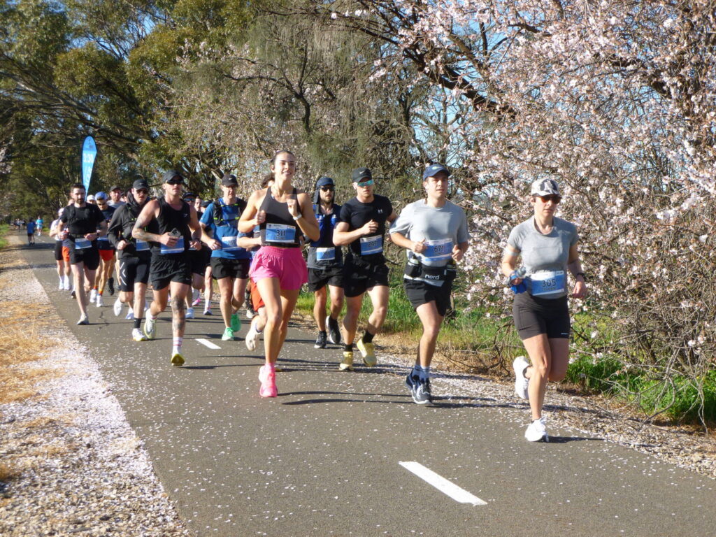 Barossa Rail Trail Shines During Barossa Marathon